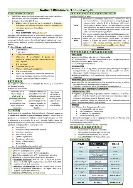 Diabetes Mellitus En El Adulto Mayor Jeanet Angeles UDocz