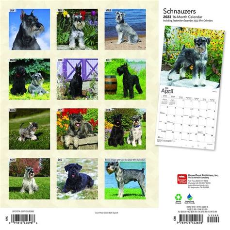 Schnauzer Kalender 2023 Bol