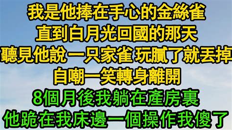 我是他捧在手心的金絲雀，直到白月光回國的那天，聽見他說 一只家雀 玩膩了就丟掉，自嘲一笑轉身離開，8個月後我躺在產房裏，他跪在我床邊一個操作我傻了 暖風故事匯 都市 Youtube