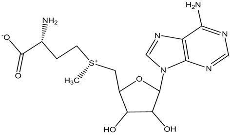 S Adenosylmethionine Structure