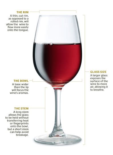 Thursday Wine Glass Anatomy Vinum Vine