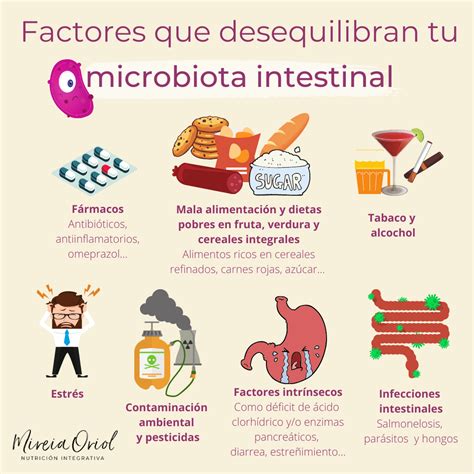 Microbiota Intestinal Qu Es Y Su Importancia Para La Salud El Blog