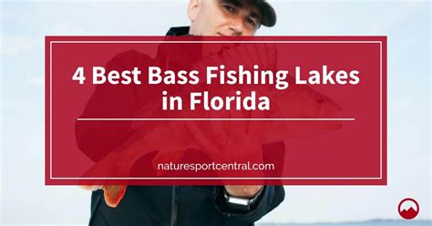 4 Best Bass Fishing Lakes In Florida