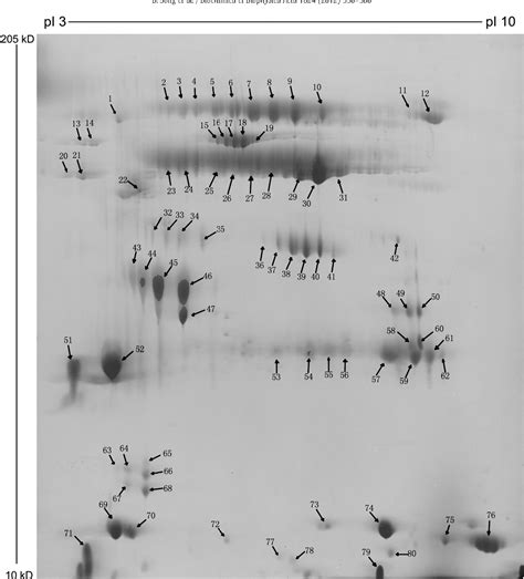 Figure 1 From Proteomic Analysis Of Secretion From Human Transplanted