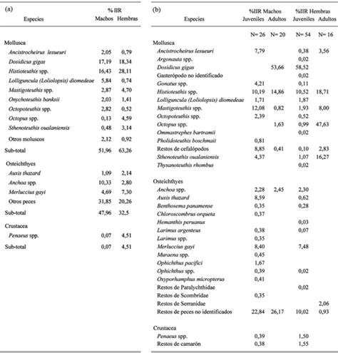 H Bitos Alimentarios Del Tibur N Martillo Sphyrna Lewini Griffith