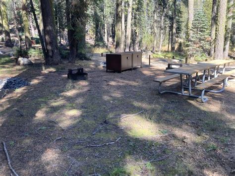 Site 107 Double Crane Flat Campground