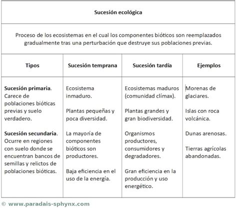 Sucesi N Ecol Gica Tipos Ejemplos Y Etapas Naturaleza Y Ecolog A