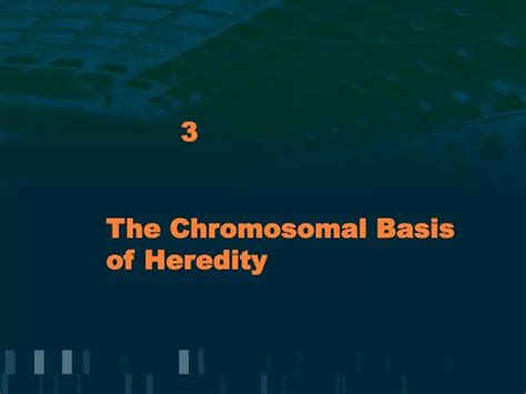 Ppt The Chromosomal Basis Of Heredity Powerpoint Presentation Free