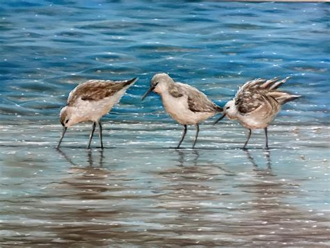 Sandpipers Running On The Beach Sandpipers Sandpiper Sandpiper Art