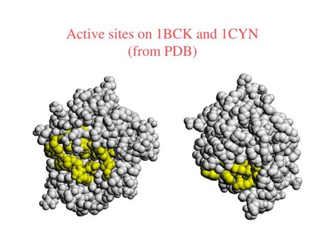PPT - Identifying similar surface patches on proteins using a spin ...