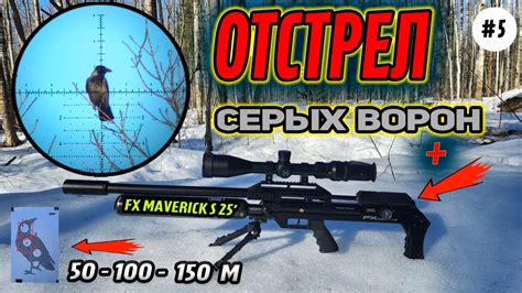 Отстрел Серых Ворон и FX Maverick a на 100 150 м 5 Crow Hunting Air