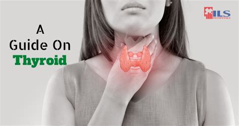 Your Complete Guide On Thyroid You Should Follow