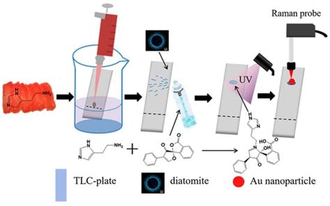 Biosensors Free Full Text Review Of Thin Layer Chromatography