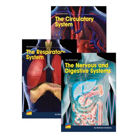 English Explorers Science Theme Human Body Systems Book Set