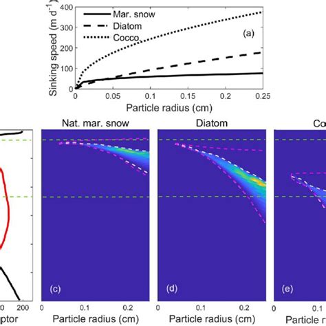 N 2 Fixation Rates In Different Types Of Sinking Particles With Download Scientific Diagram