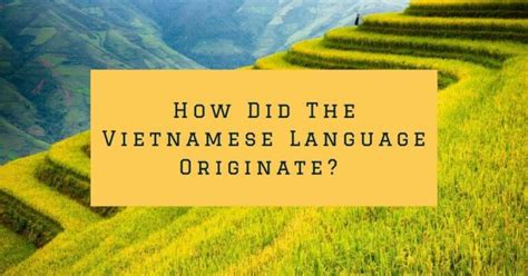 Vietnamese Language History In A Nutshell: 3 Useful Points | Ling App