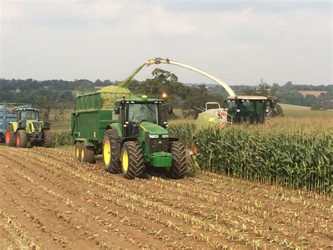 Chopping Maize With Our CLAAS Jaguar Forager Fitted With A 10 Row Maize