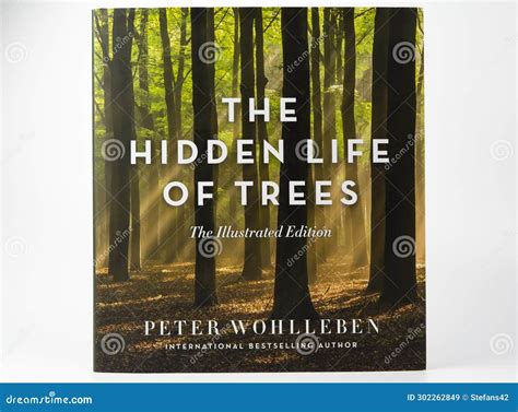 The Hidden Life Of Trees Book Written By Peter Wohlleben Isolated On