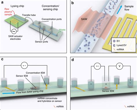 Design And Operation Of Integrated Microfluidic Platform For Ev Mirna