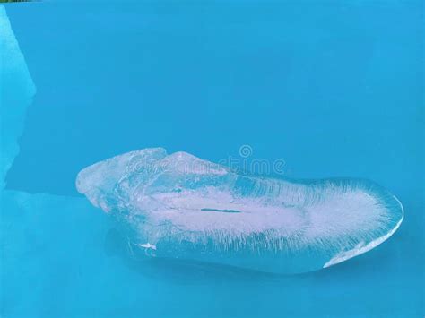 Ice Sculpture Of A Shoe With A Blue Background Stock Photo Image Of