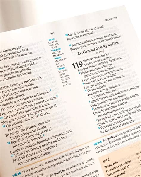 RVR 1960 Biblia de Estudio Holman Tapa Dura Escrito Está