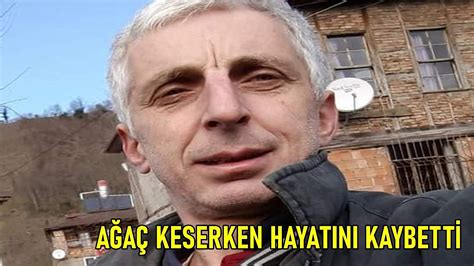 Ordu da fındık bahçesinde ağaç keserken hayatını kaybetti ASAYİŞ