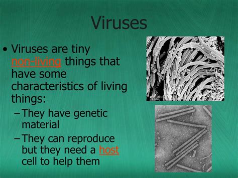 Ppt Bacteria And Viruses Powerpoint Presentation Free Download Id5298389