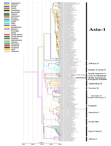 Maximum Clade Credibility Mcc Tree Of Full Length H Genes Of Cdvs