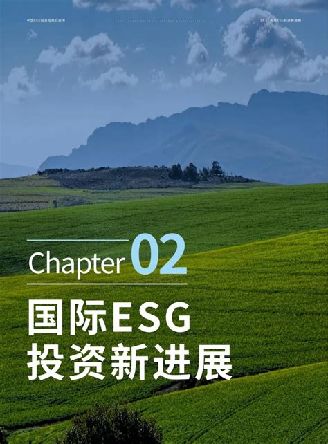 最新发布：中国esg投资指南白皮书！附报告全文下载及解读esg新浪财经新浪网