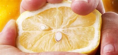 How to Squeeze More Juice Out of Lemons & Limes—Without Getting Any ...