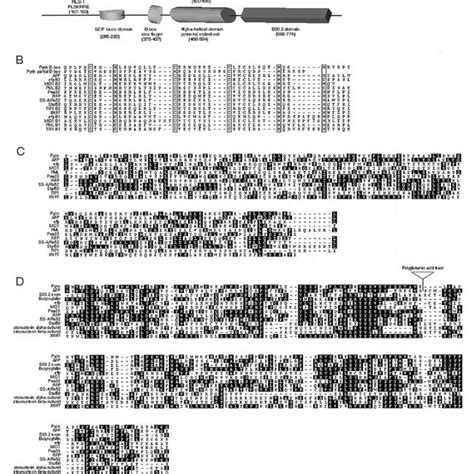 A Schematic Representation Of The Conserved Protein Subunits Of