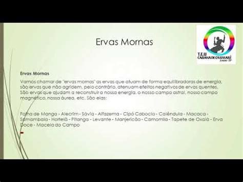 Curso De Ervas Na Umbanda YouTube