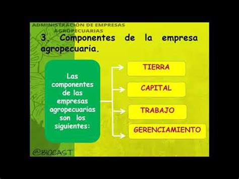 Requisitos Legales Para Formar Una Empresa Agropecuaria INFOREGLAMENTOS