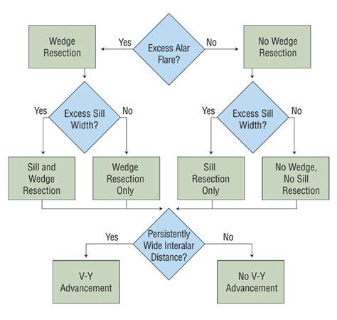 A Simplified Approach To Alar Base Reduction A Review Of 124 Patients