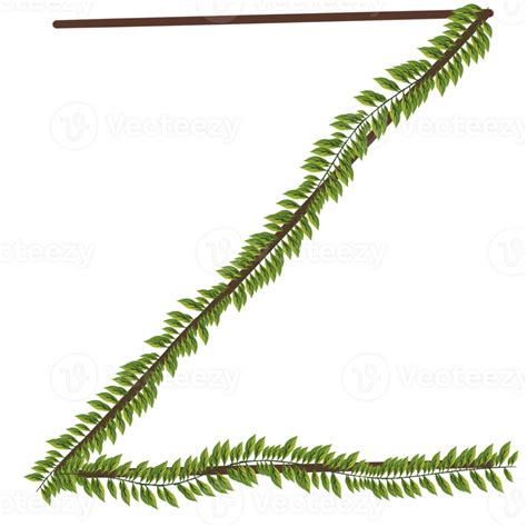 Alphabet A Z Wrapped Around Fern Leaves 27245674 Png