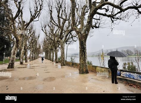 Mondego river in Winter, Coimbra, Portugal (MR Stock Photo - Alamy