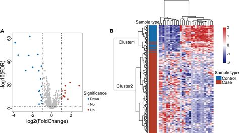 Frontiers Identification And Validation Of Novel Long Non Coding Rna