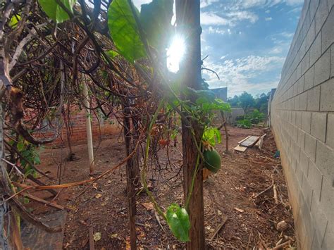 Terreno Venda De M No Bairro Jardim Bertoni Em Americana Sp Por