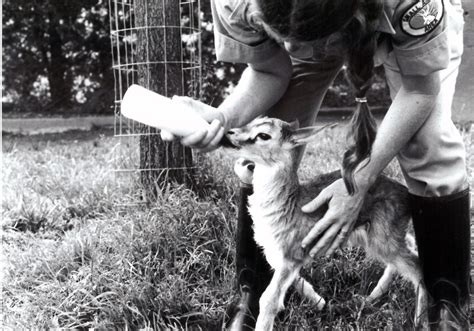 Louisville Zoo