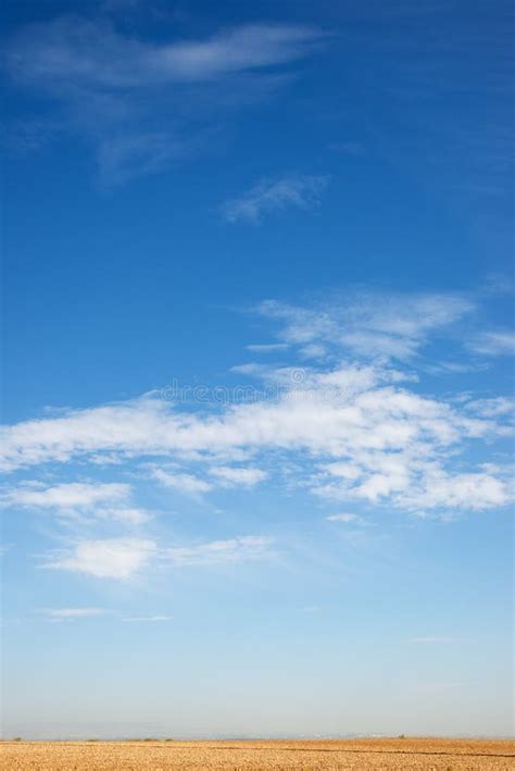 Paisagem Desolada Foto De Stock Imagem De Escala Desolado 11749008