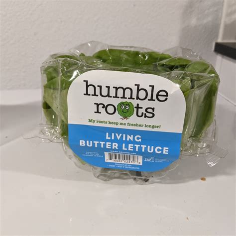 Humble Roots Living Butter Lettuce Reviews Abillion