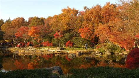 都内でも絶景！“意外と知らない”東京の紅葉スポット25選【2024】 トラベルjp 旅行ガイド