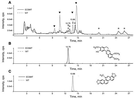 Metabolic Engineering Of Plant Alkaloid Biosynthesis Pnas