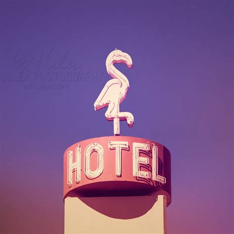 Flamingo Hotel vintage Neon Sign Photo Mid-century Motel - Etsy