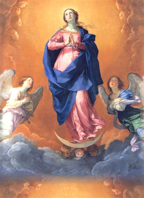 Assomption De La Vierge Marie Relire Le Passage De Lencyclique