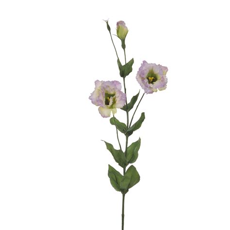 Set Lisianthus Artificiali Composto Da Fiori Altezza Cm Leroy