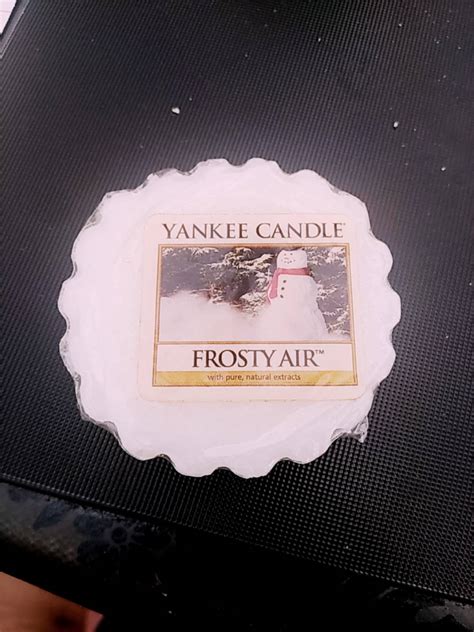 Yankee Candle Frosty Air Wax Melt Tart TheStore91