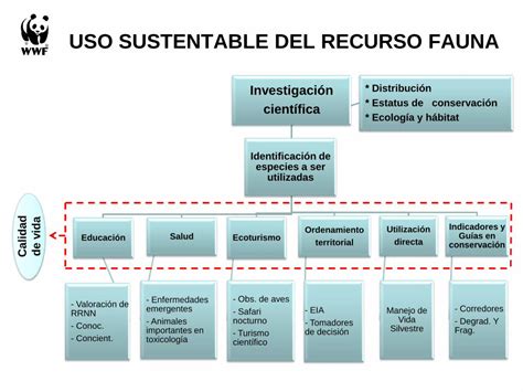 PDF Plan De Accion Para La Conservacion De Yacare DOKUMEN TIPS