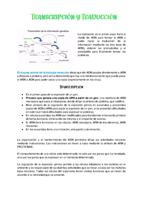 Transcripción Y Traducción Biología Molecular La Replicación Es El Primer Paso Tiene El