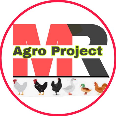 Mr Agro Project Youtube